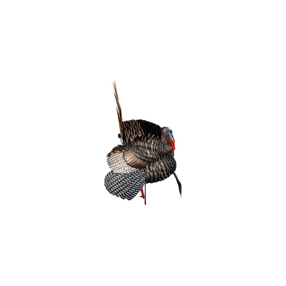 Avian-X HDR Strutter
