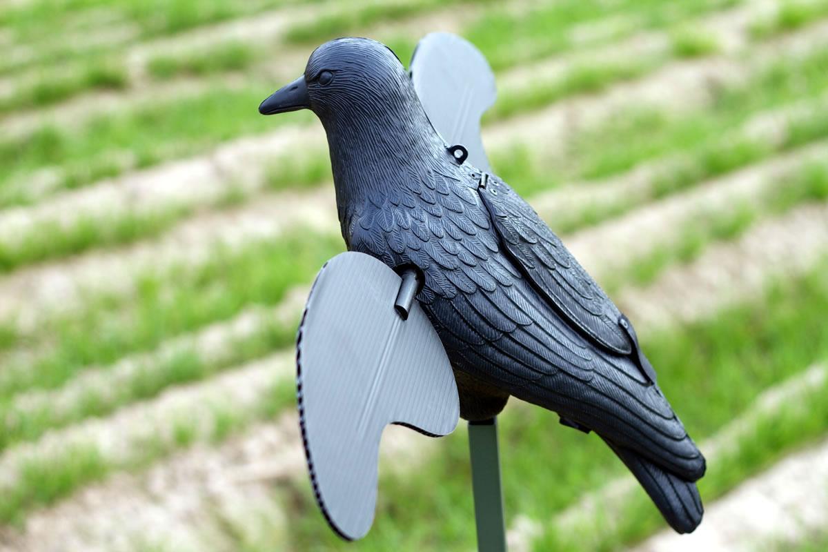 MOJO Motion Decoy Crow Decoy