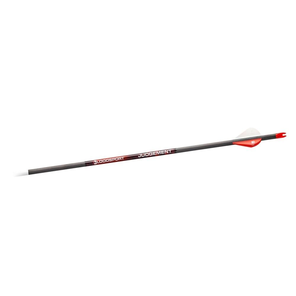 Gsm Bloodsport Judgement Arrow 350 Spine 6/pk