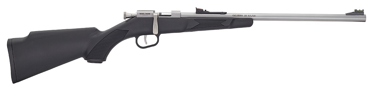 Henry Repeating Arms HEN MINI BOLT G2 22LR SNG SS