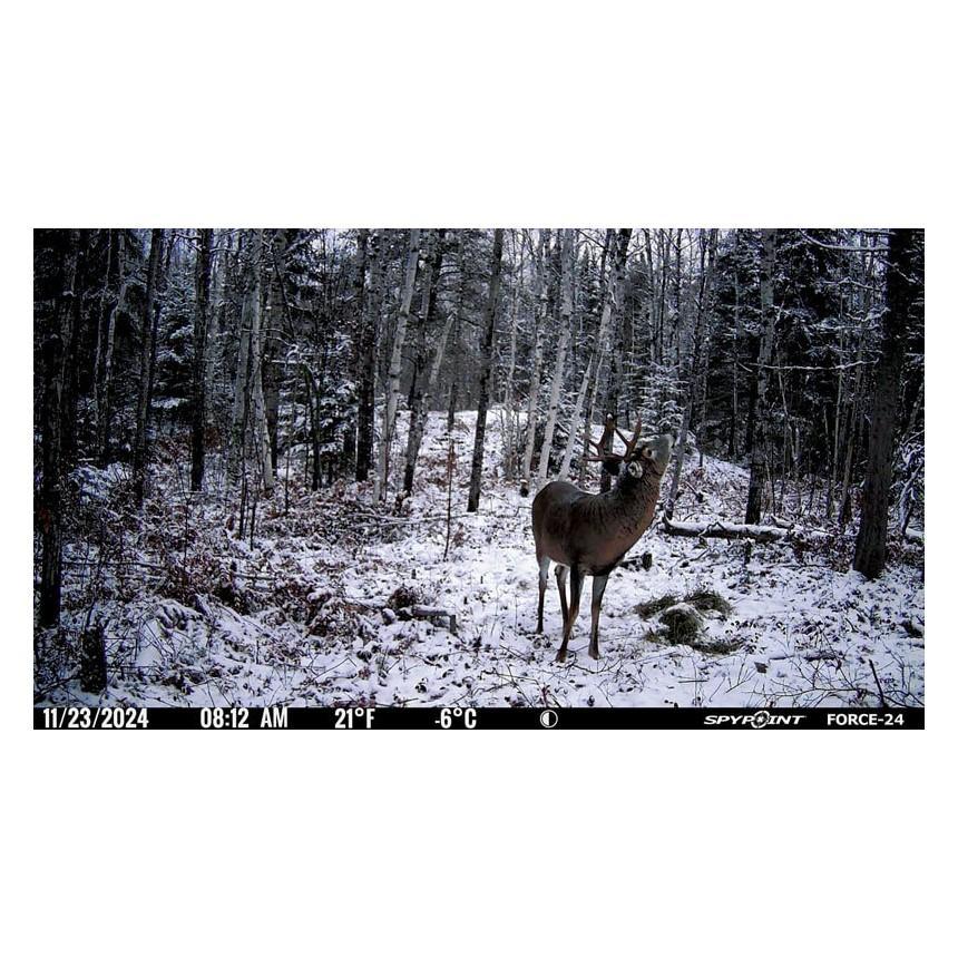 GG TELECOM /SPYPOINT Spypoint FORCE-24 Non-Cellular Trail Camera
