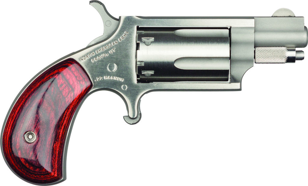 NAA MINI REV .22LR/22M COMBO 1-1/8" BRL