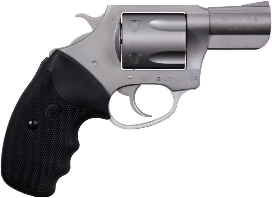 Charter Arms Pitbull Handgun 9mm Luger 5rd Capacity 2.2" Barrel Stainless with Black Grip