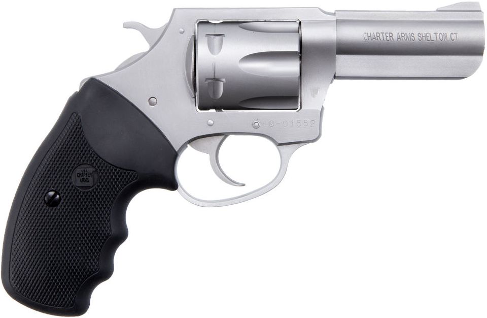 Charter Arms Pit Bull Handgun .380 ACP 6rd Capacity 3" Barrel Stainless Steel