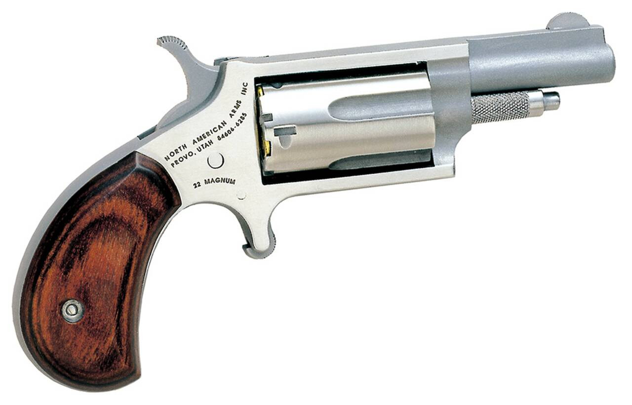 North American Arms NAM MINI-REV 22M 1.625SS MATTE