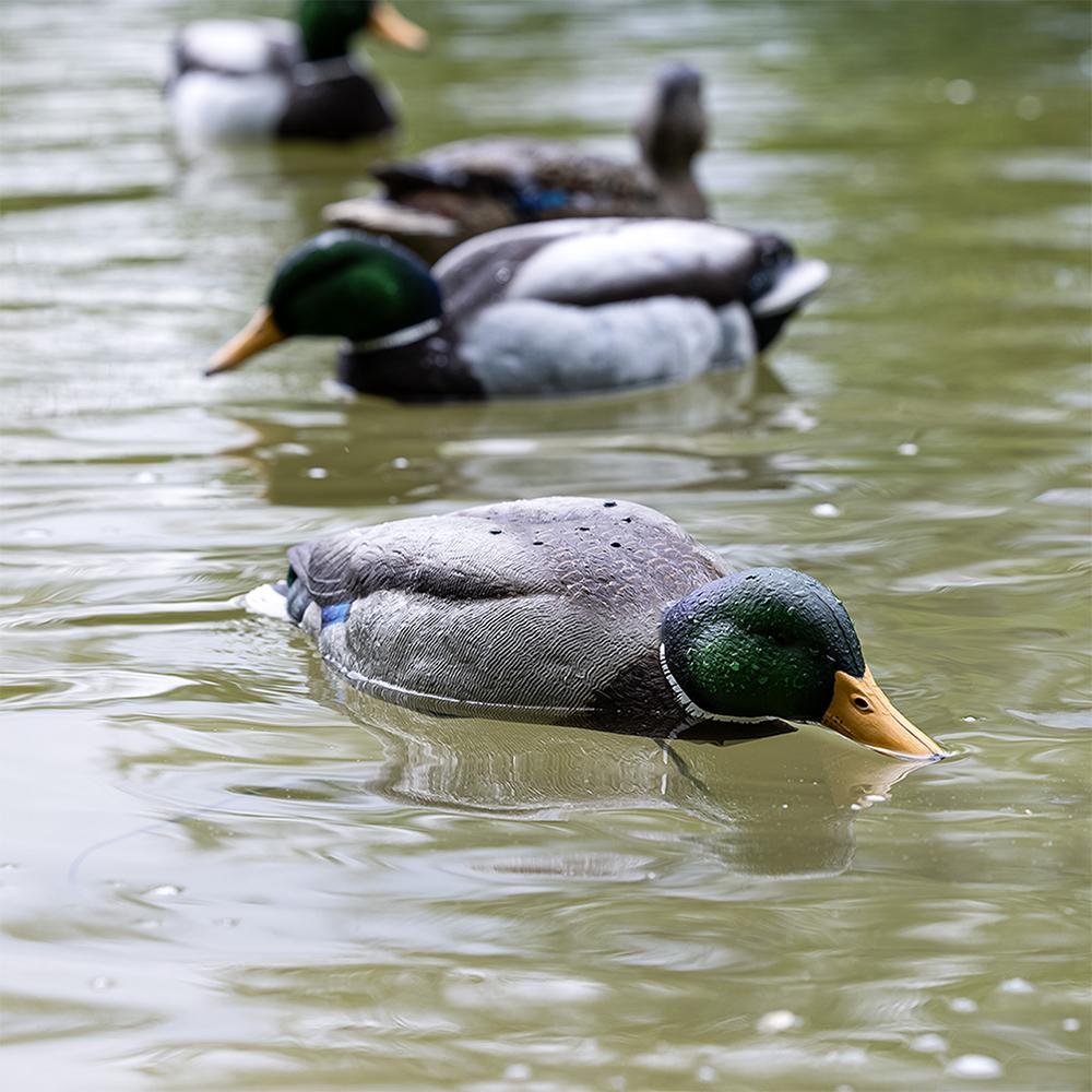 Avian-X Tip Up Mallard Feeder