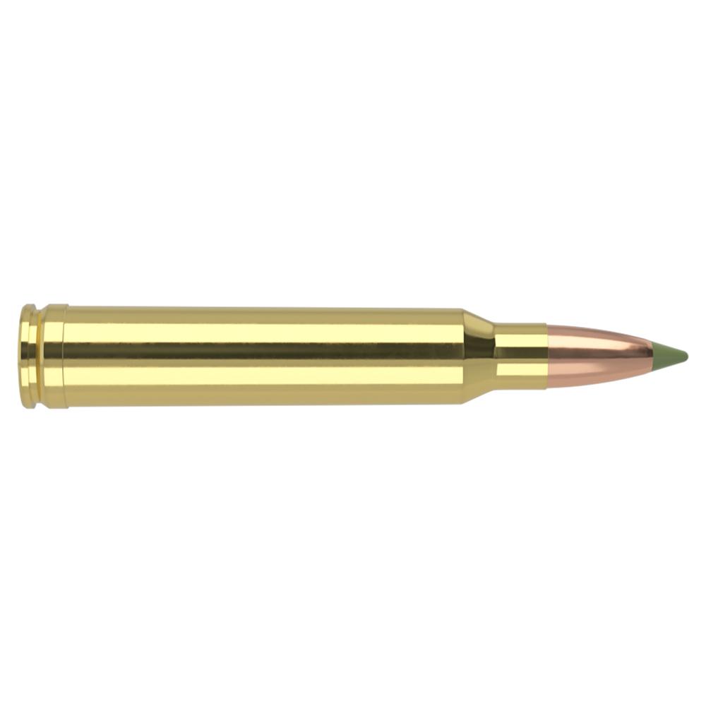 Nosler E-Tip Rifle Ammunition .300 Win Mag 180gr ET 2950 fps 20/ct