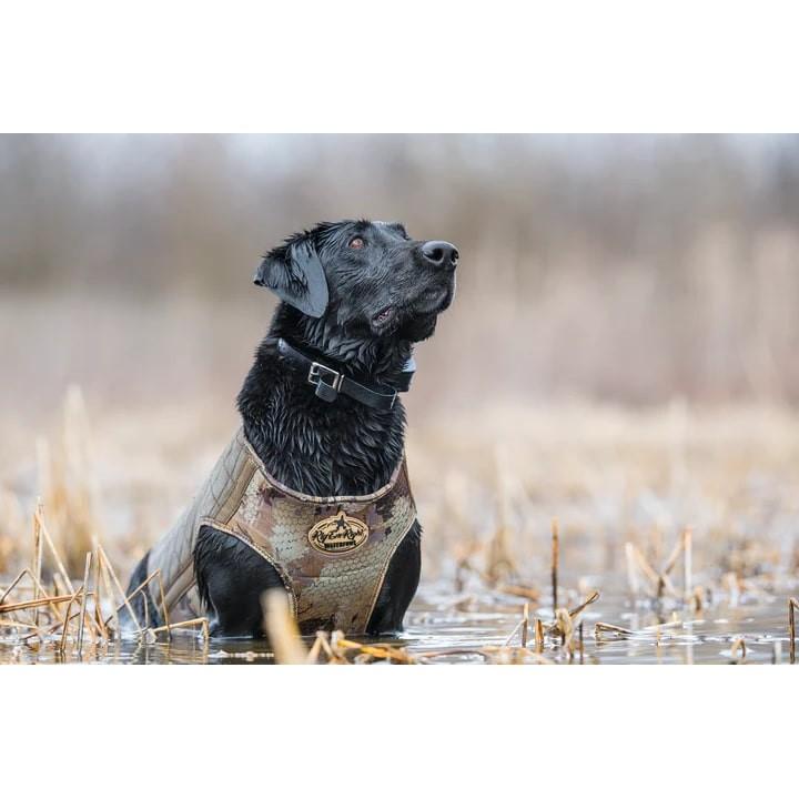 AdvenTec LLC dba Rig Em Right Outdoors Rig'Em Right Bloodline Elite Dog Vest Optifade Timber XXL