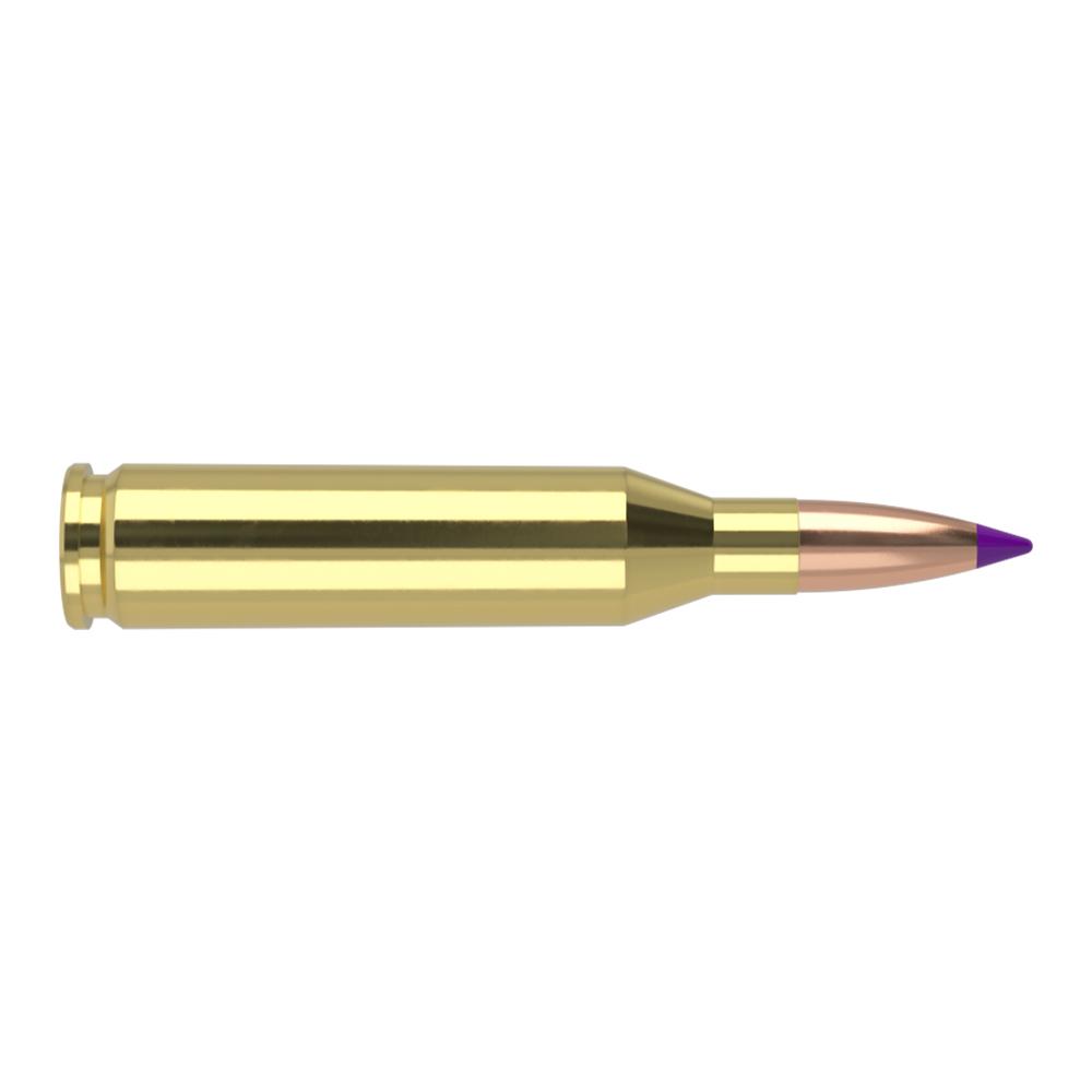 Nosler Ballistic Tip Varmint Rifle Ammunition .243 Win 70gr PT 3500 fps 20/ct