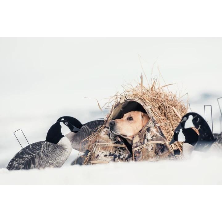 AdvenTec LLC dba Rig Em Right Outdoors Rig'Em Right Field Bully Dog Blind Optifade Marsh