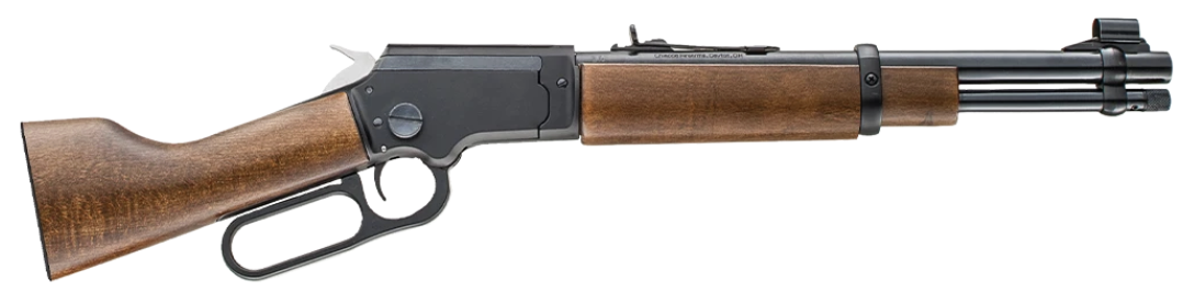 CHIAPPA LA322 BANDIT TAKEDOWN 22LR RIFLE WOOD STOCK 12" BARREL PISTOL GRIP/WOOD STOCK
