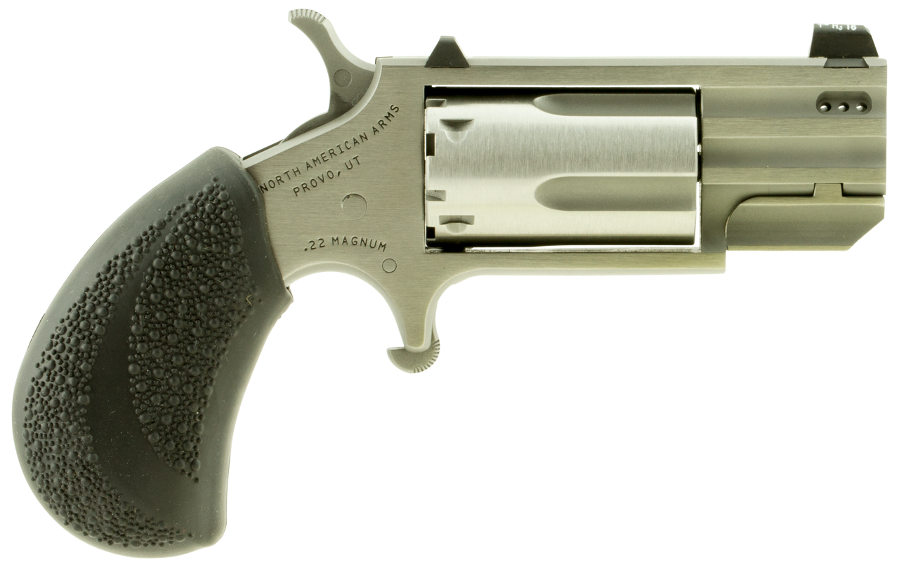 NAA Pug TP Handgun .22 Mag 5rd Magazine 1" Barrel Silver with Black Grip