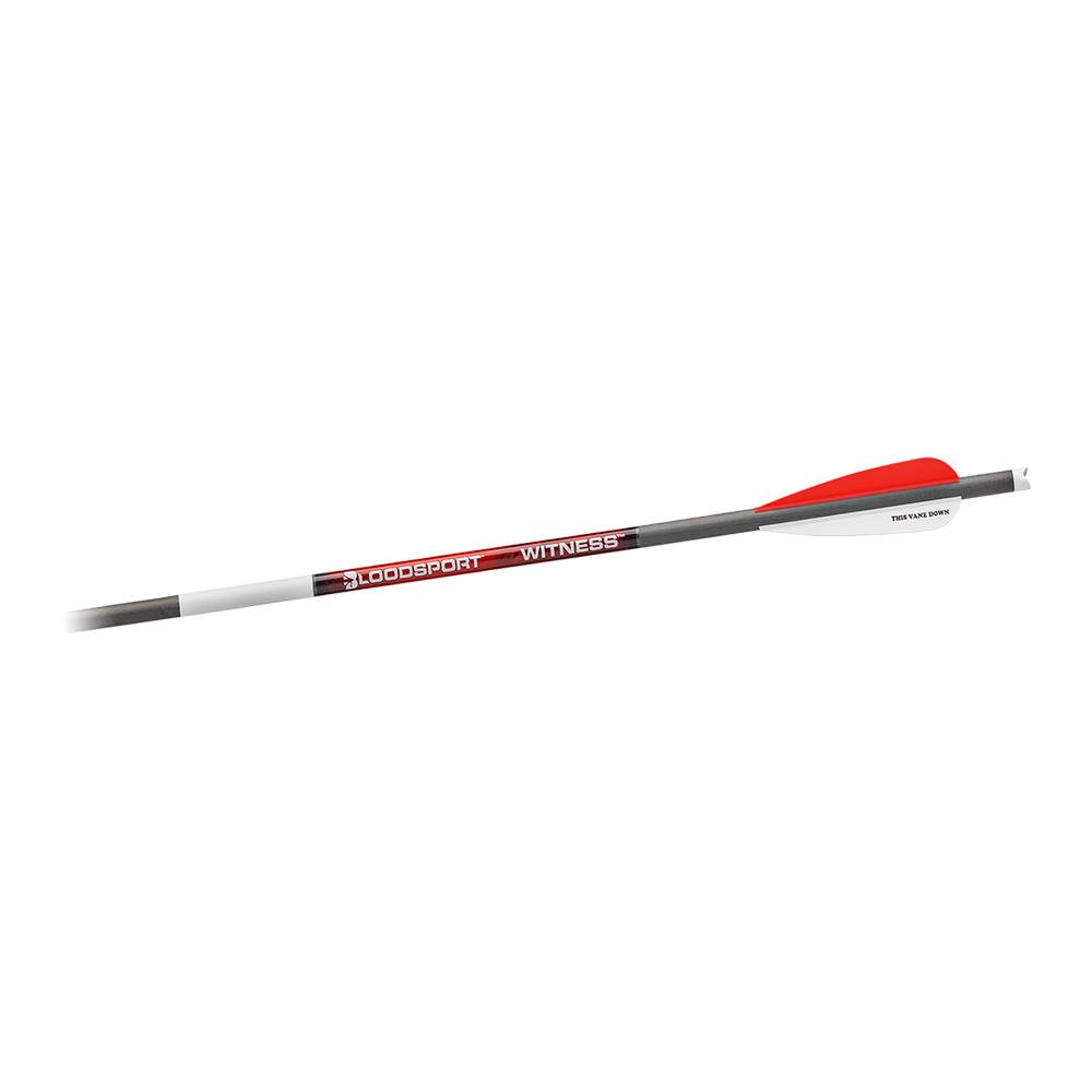 Gsm Bloodsport Witness Crossbow Bolt 20" 300 Spine 6/ct