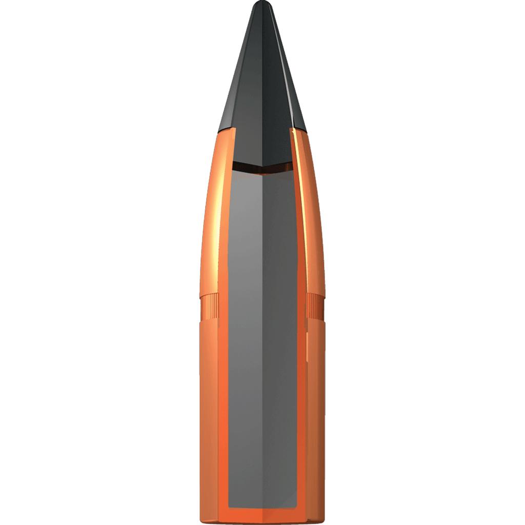 Winchester Deer Season XP Rifle Ammunition .300 WSM 180gr PT 2900 fps 20/ct