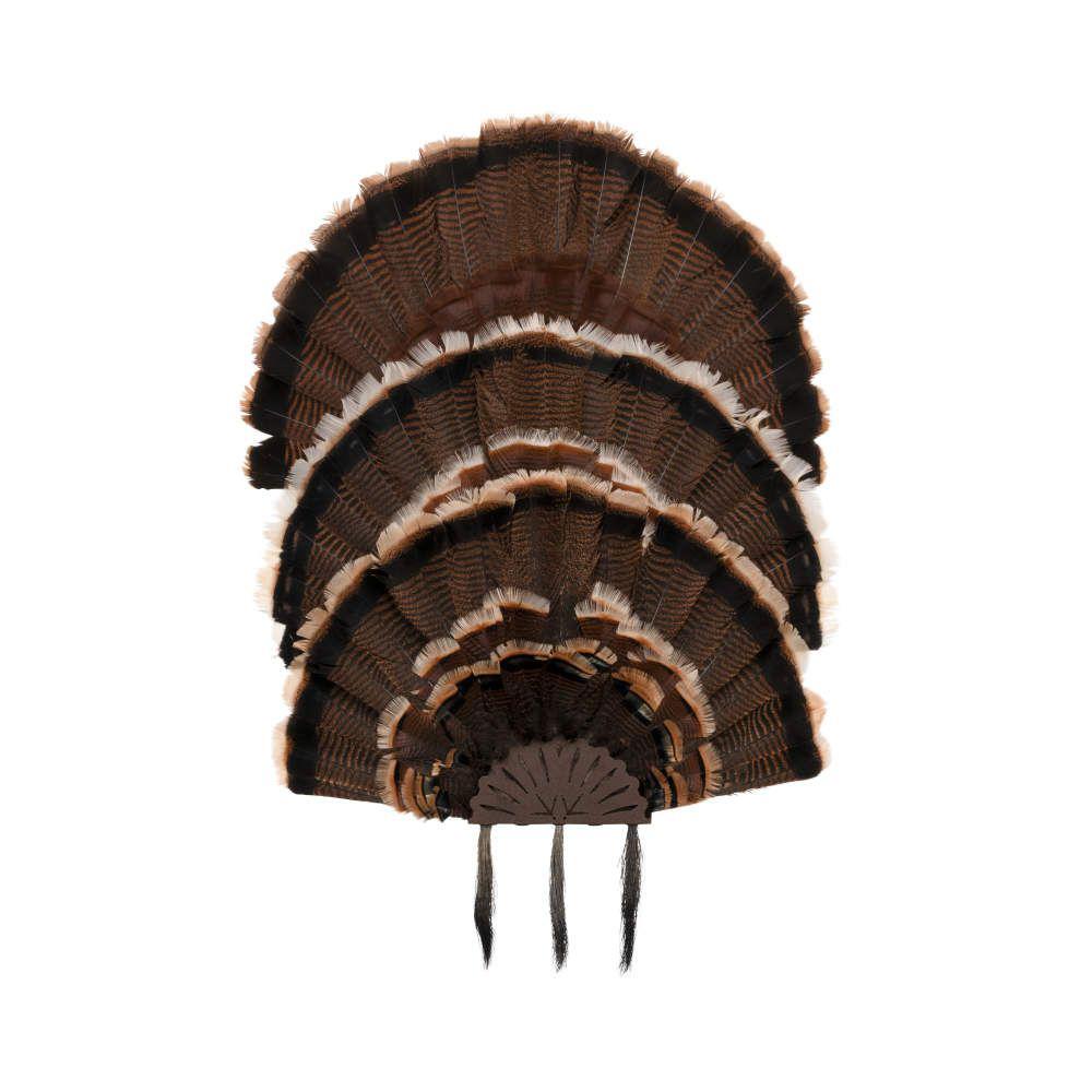 Allen EZ Mount Stackable Turkey Fan and Beard Display