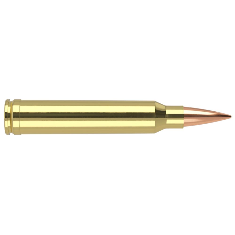 Nosler Accubond Long Range Trophy Grade Rifle Ammunition .300 WSM 190 gr PT 2875 fps 20/ct