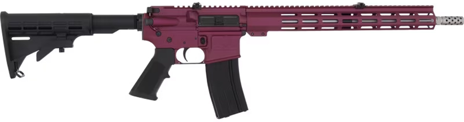 10 Ring GLFA AR-15 Rifle .223 Wylde 30rd Magazine 16" Stainless Steel Black Cherry Frame