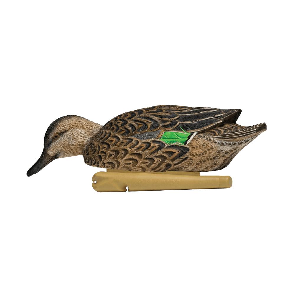 Avian-X Topflight Green Wing Teal Decoys 6/ct