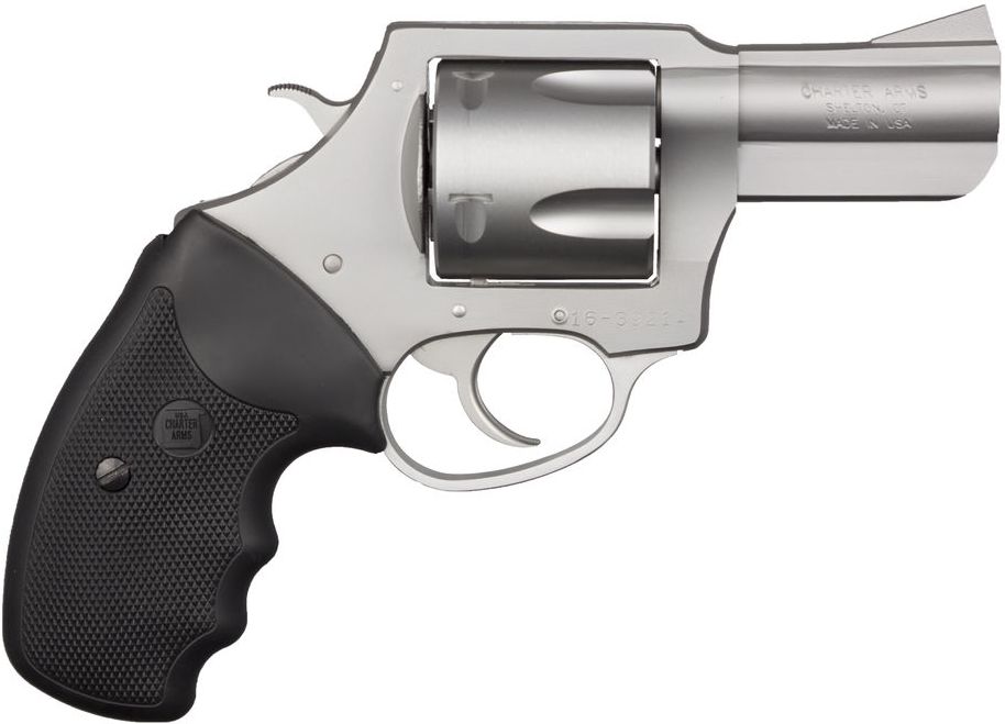 Charter Arms Pitbull 45ACP LRG FRAME 5/shot STS 2.5"