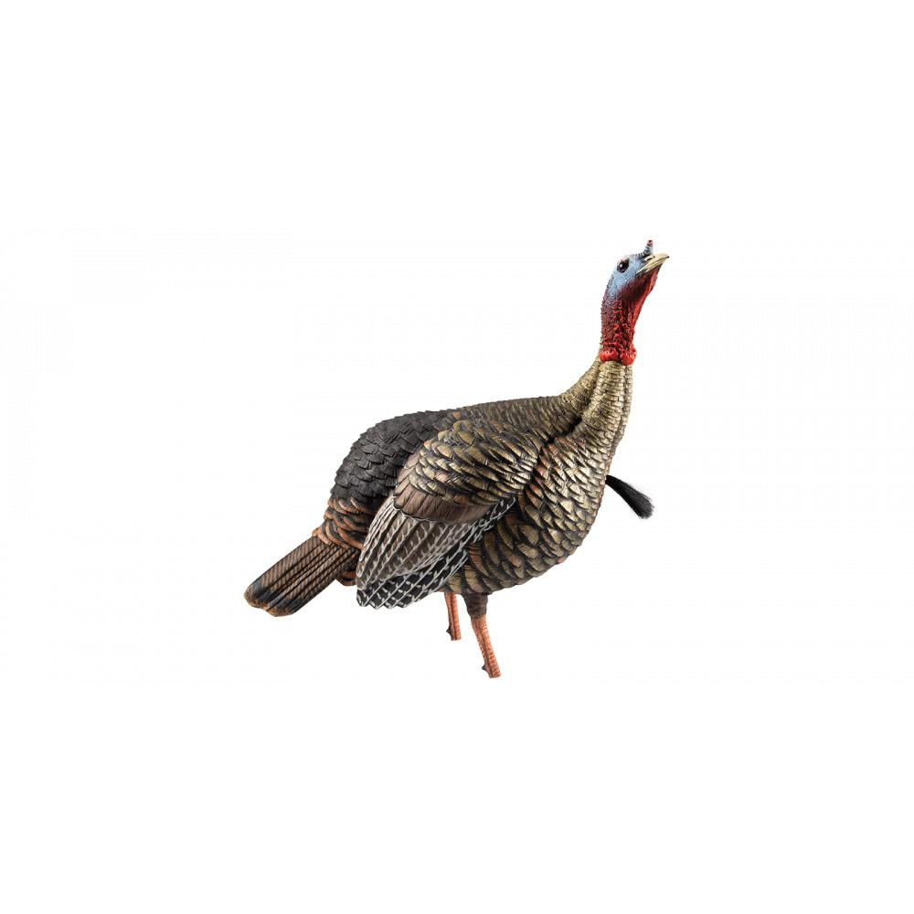 Avian-X HDR Jake Decoy
