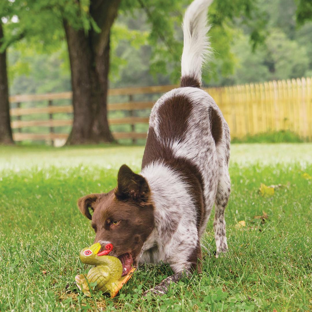 Radio Systems Corporation dba Sport Dog PetSafe Sportsmen Latex Meeze Turkey