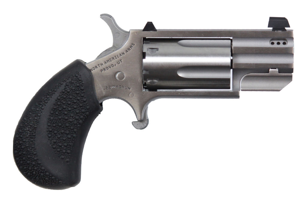 NAA PUG DP Ported Handgun .22 Mag 5rd Capacity 1" Barrel Silver with Black Grips