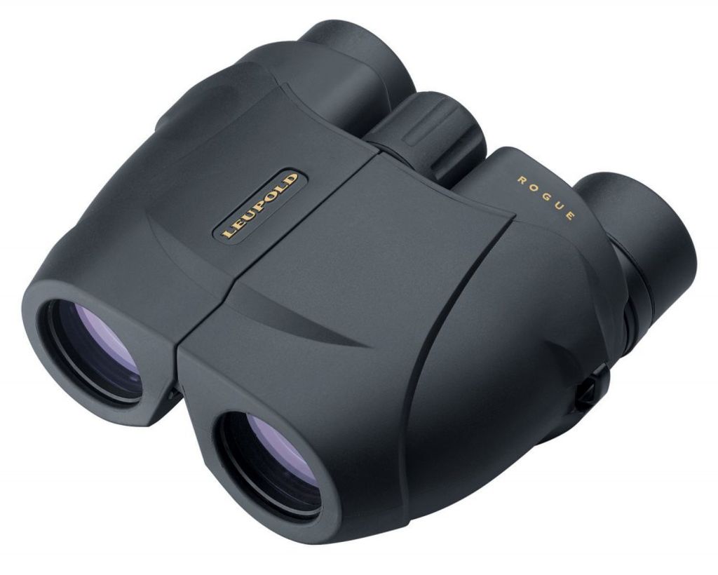Leupold BX-1 Rogue Compact Binocular 10x25mm Inverted Porro Prism Black