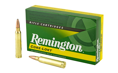 Remington Core-Lokt Rifle Ammunition .300 Win Mag 180 gr PSP 2960 fps 20/ct