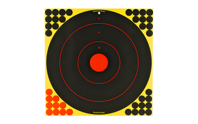 Birchwood Casey Shoot-N-C Bull 17.25" Bull's-eye Paper Targets 5/ct