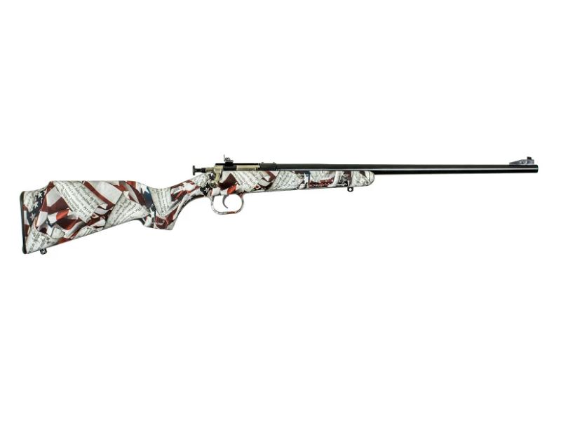 Keystone Crickett Rifle .22 LR Single Shot 16.125" Blued Barrel Synthetic Stock Amendment