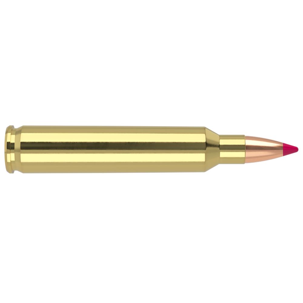Nosler Ballistic Tip Varmint Rifle Ammunition .204 Ruger 40 gr PT 3625 fps 20/ct