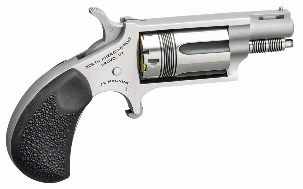 NAA WASP SNUB 22MAG 1-1/8" BRL