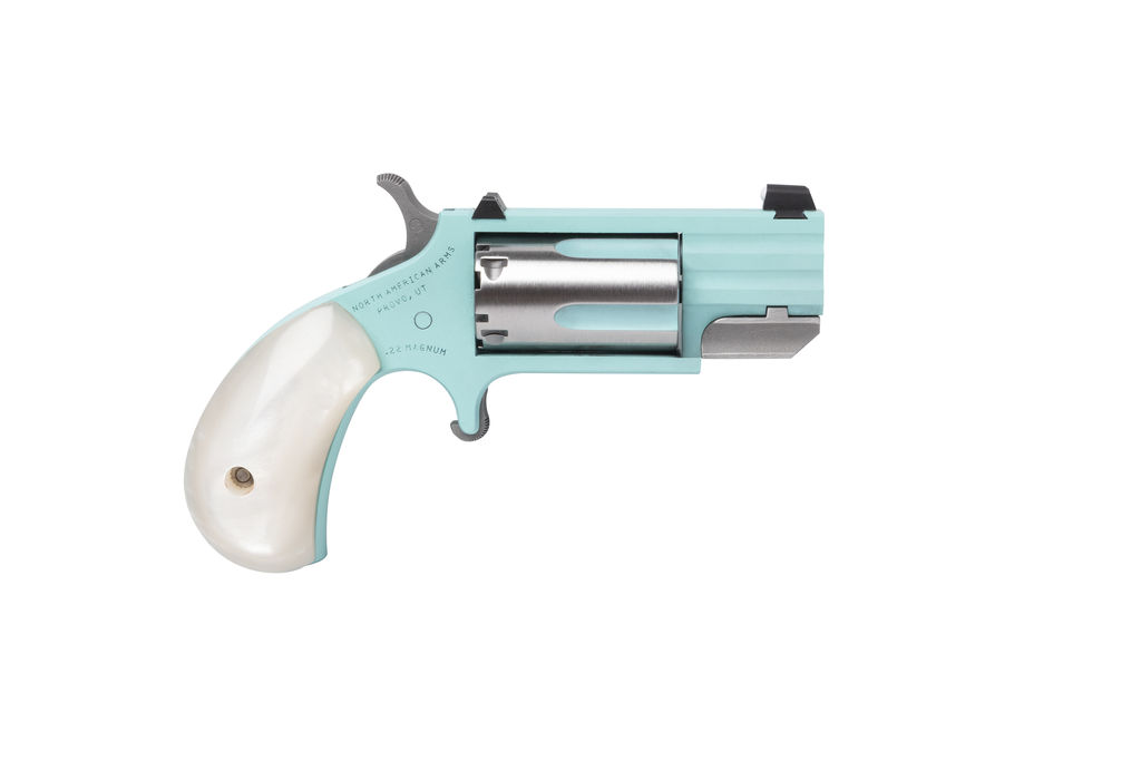 North American Arms NAM PUG 22M SS 1IN HB FS TQ DE